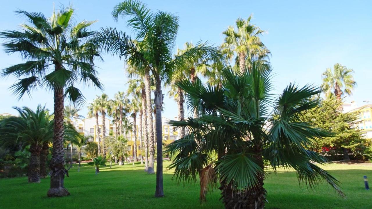 Palmeras En La Playa - Beach House In Oliva Exteriér fotografie